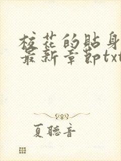 校花的贴身高手最新章节txt下载