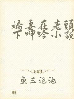 娇妻在老头淫辱下呻吟小说封面