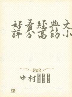 好看经典文笔好评分高的小说