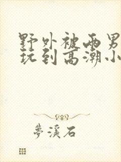 野外被两男吃奶玩到高潮小说