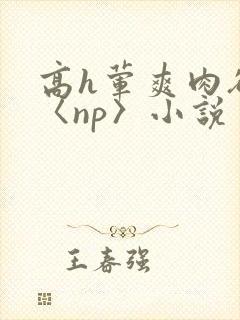 高h荤爽肉欲文〈np〉小说