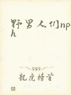 野男人们np高h