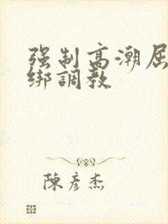 强制高潮屈辱捆绑调教