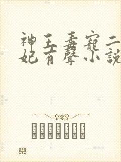 神王毒宠二嫁王妃有声小说