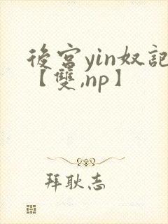 后宫yin奴记【双,np】