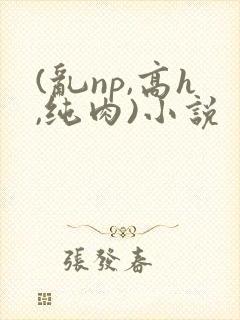 (乱np,高h,纯肉)小说