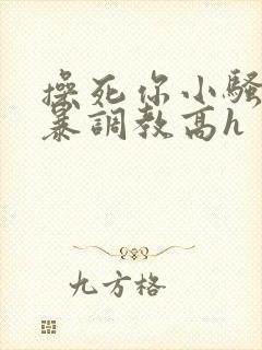 操死你小骚货粗暴调教高h封面