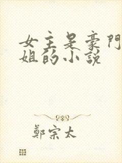 女主是豪门大小姐的小说