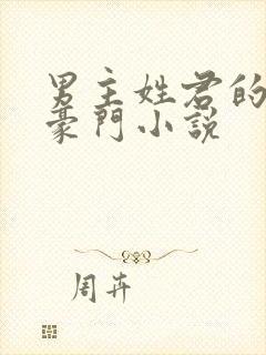 男主姓君的现代豪门小说