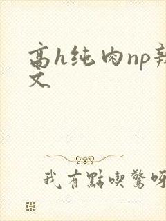 高h纯肉np辣文