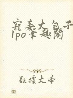 宠妾大包子1ⅴ1po笔趣阁