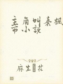 主角叫秦枫的都市小说