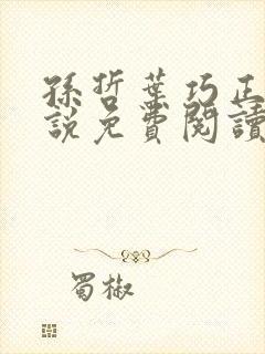 孙哲叶巧正版小说免费阅读