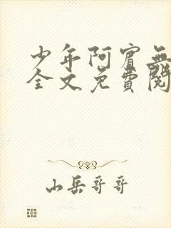 少年阿宾无删减全文免费阅读笔趣阁