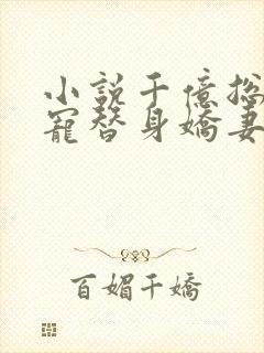 小说千亿总裁独宠替身娇妻