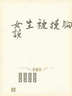 女生被摸胸的小说