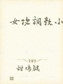 女攻调教小说h封面