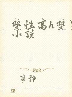 双性高h双男主小说