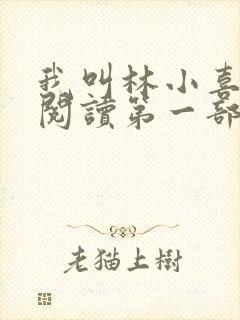 我叫林小喜全文阅读第一部封面