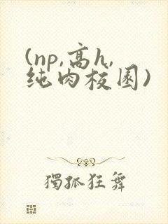 (np,高h,纯肉校园)