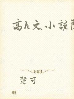 高h文小说阅读
