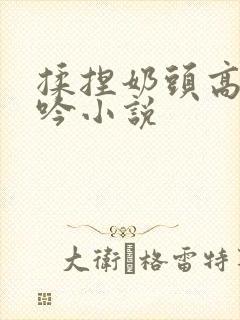 揉捏奶头高潮呻吟小说