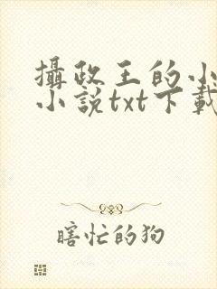 摄政王的小闲妻小说txt下载
