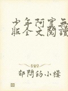 少年阿宾无删减版全文阅读