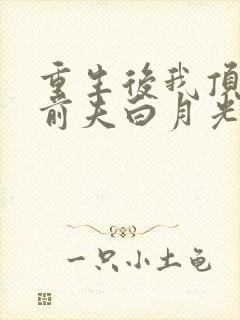 重生后我顶替了前夫白月光原著作者