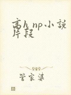 高h np小说片段