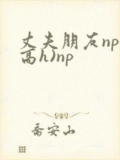 丈夫朋友np(高h)np