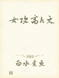 女攻高h文封面