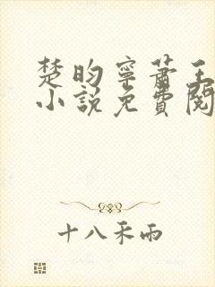 楚昀宁萧王穿越小说免费阅读无弹窗封面