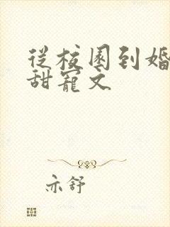 从校园到婚姻的甜宠文