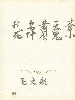 我名黄天苍天已死什么鬼小说笔趣阁无删减