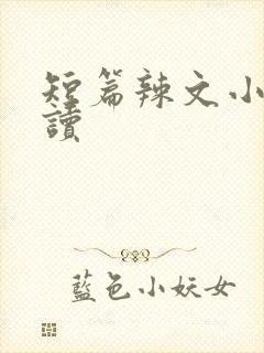 短篇辣文小说阅读封面