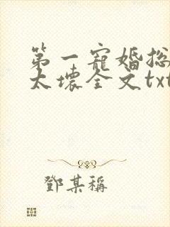 第一宠婚总裁别太坏全文txt