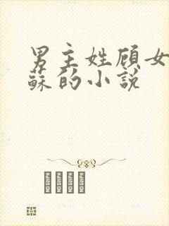 男主姓顾女主姓苏的小说