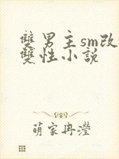 双男主sm改造双性小说封面