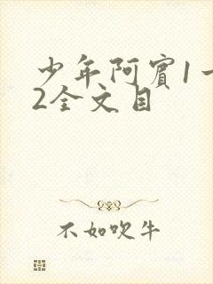 少年阿宾1一72全文目