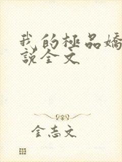 我的极品娇妻小说全文