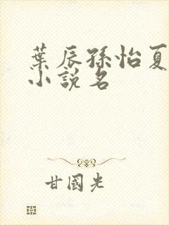 叶辰孙怡夏若雪小说名