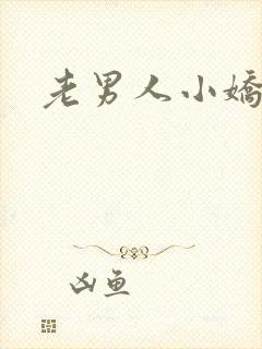老男人小娇妻h
