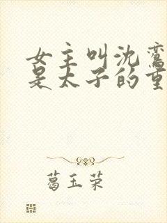 女主叫沈鸾男主是太子的重生小说