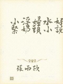 小淫妇水好多真紧奶头小说封面