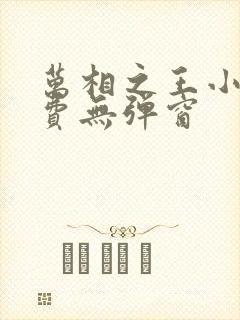 万相之王小说免费无弹窗