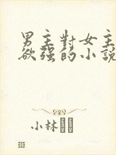 男主对女主占有欲强的小说