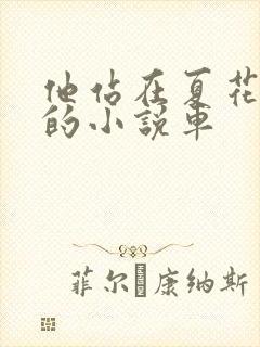 他站在夏花绚烂的小说车