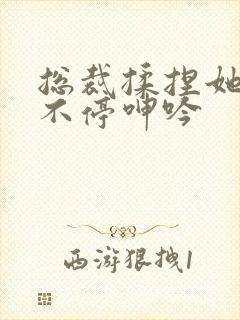 总裁揉捏她两乳不停呻吟