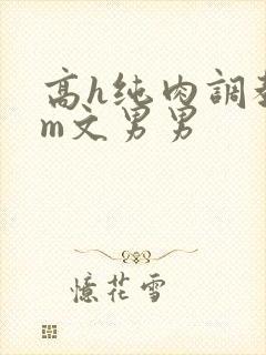 高h纯肉调教sm文男男